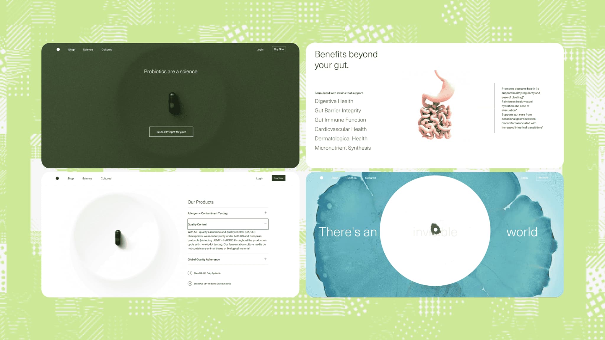 Design mockup showcasing a product landing page with sections on digestive health, gut-brain interaction, and overall wellness benefits.