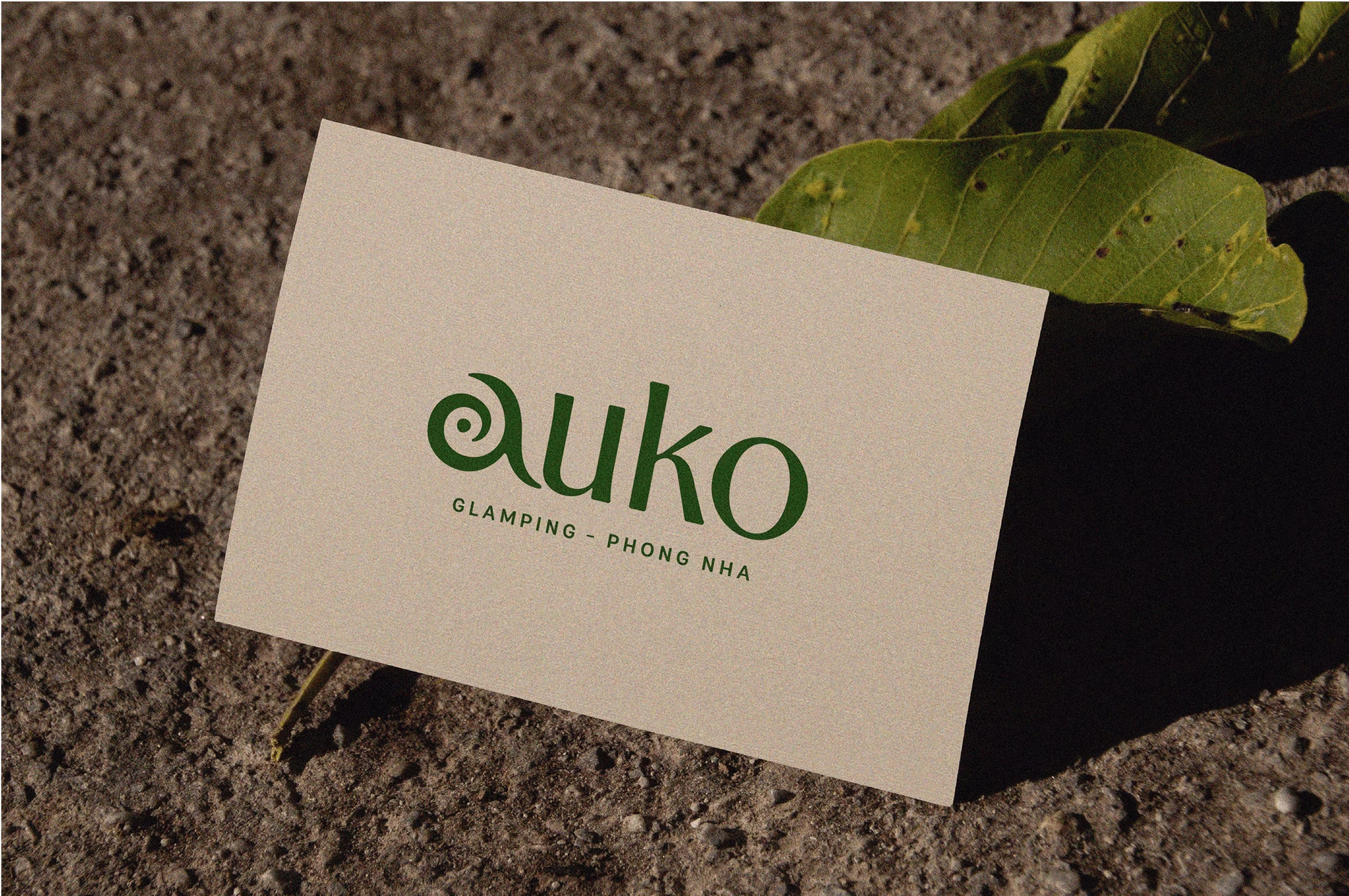 Auko logo on a business card featuring green lettering, displayed against a natural background with a leaf.