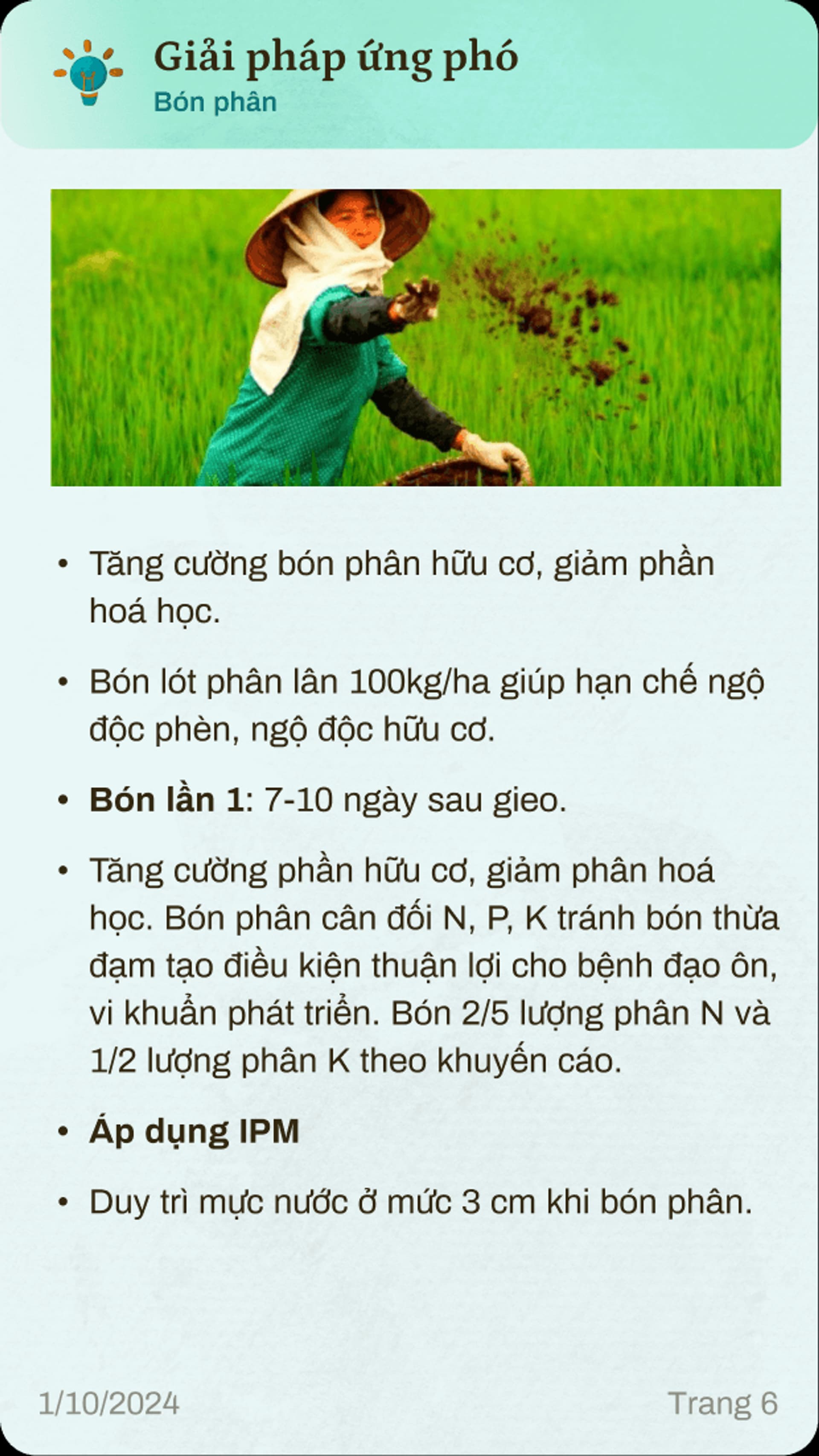 Alt text: Vietnamese agricultural guide on enhancing soil fertility with organic fertilizers and IPM techniques, dated 1/10/2024.