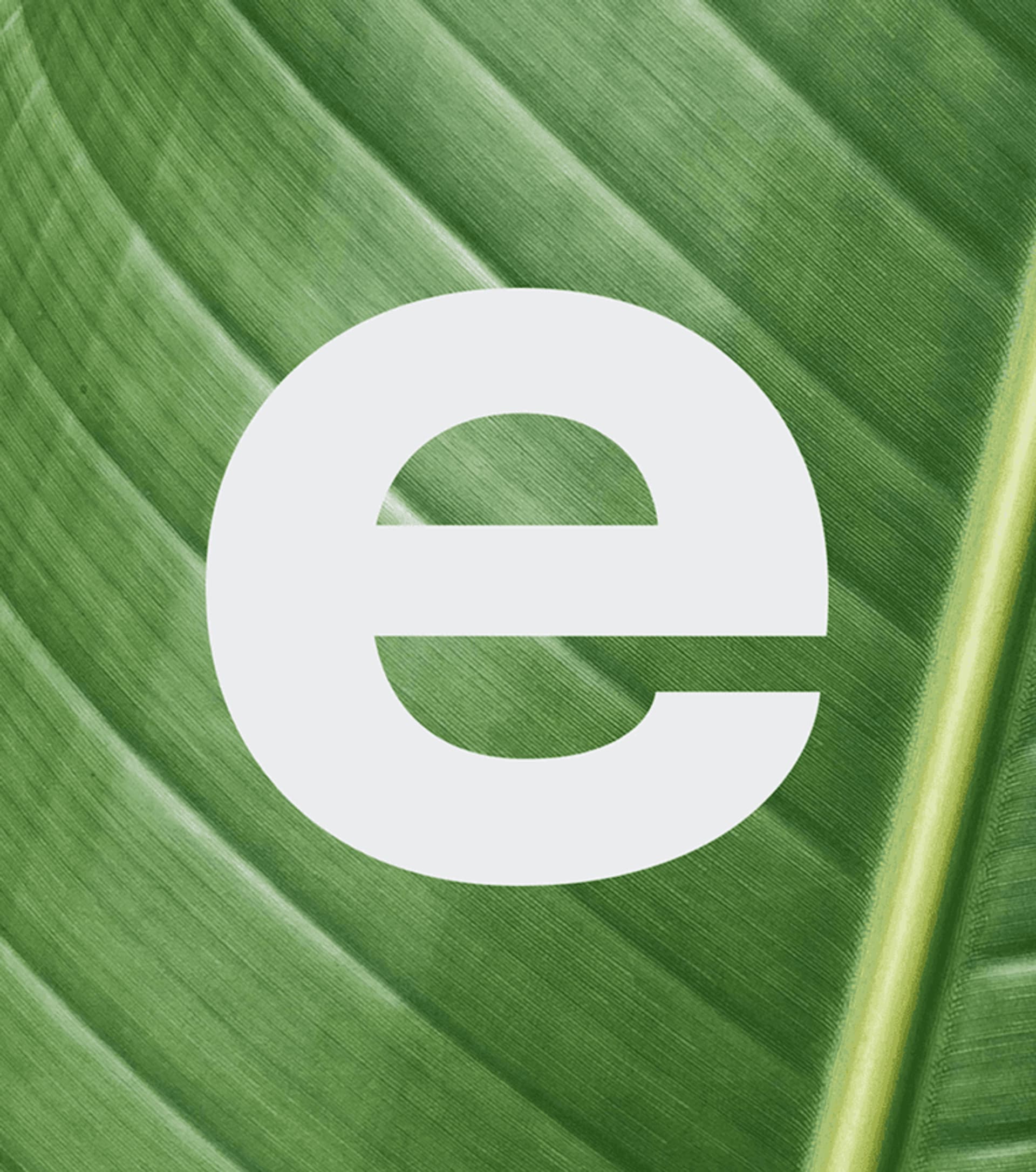 Stylized lowercase "e" overlaid on a textured green leaf backdrop, emphasizing nature-inspired typography.