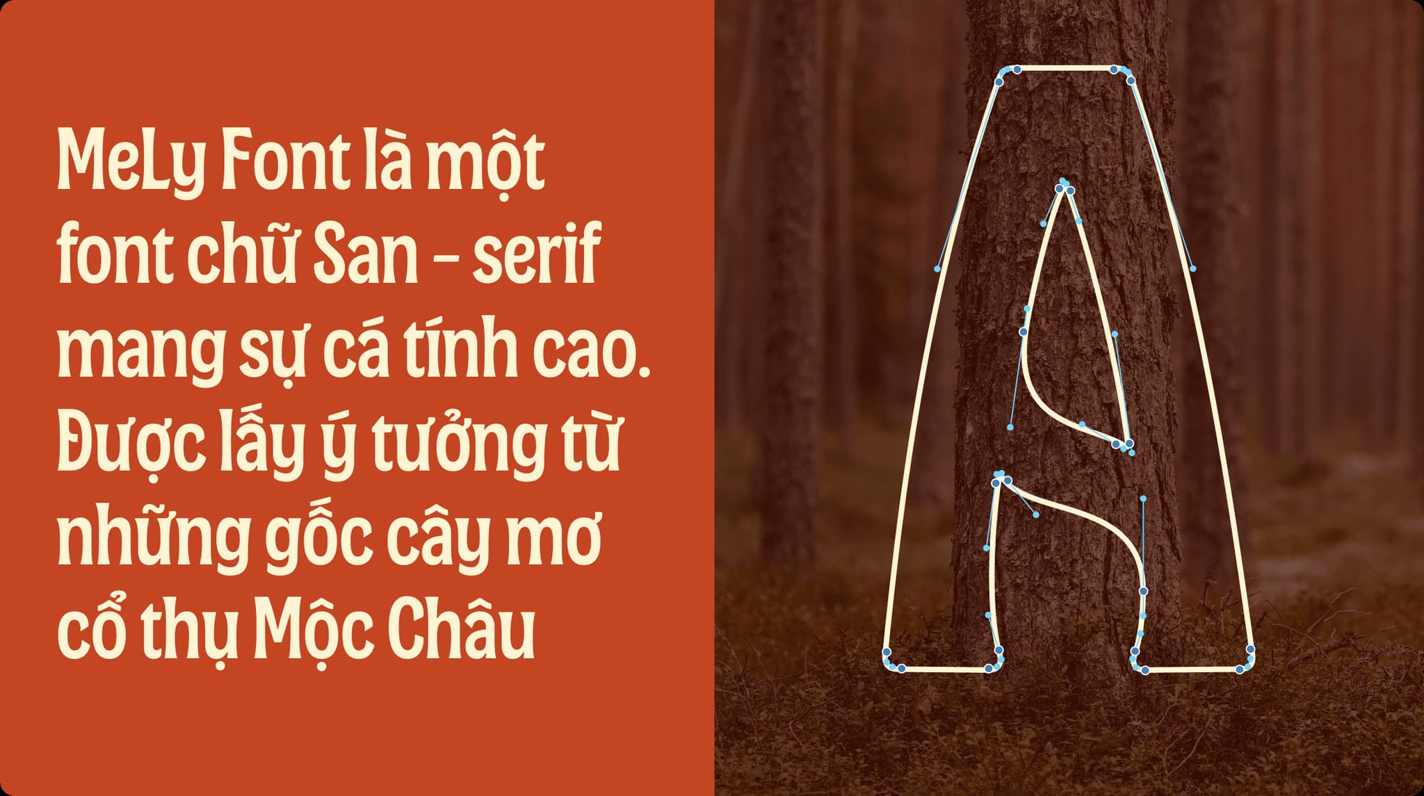 Alt text: "Mely Font showcased as a bold 'A' shaped from a tree trunk, with descriptive text about its design inspiration."