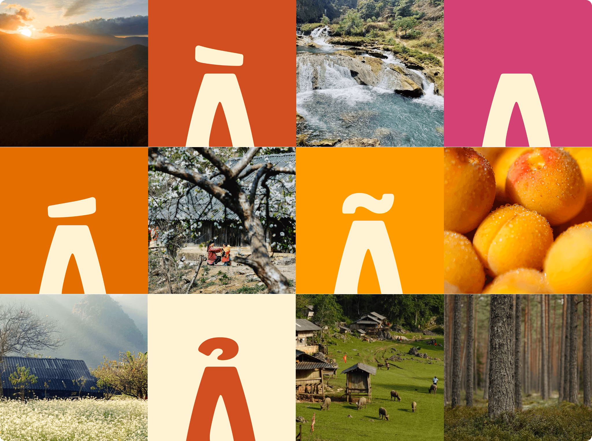 Collage of natural landscapes and fruits featuring stylized letters, highlighting diverse elements of nature and culture.
