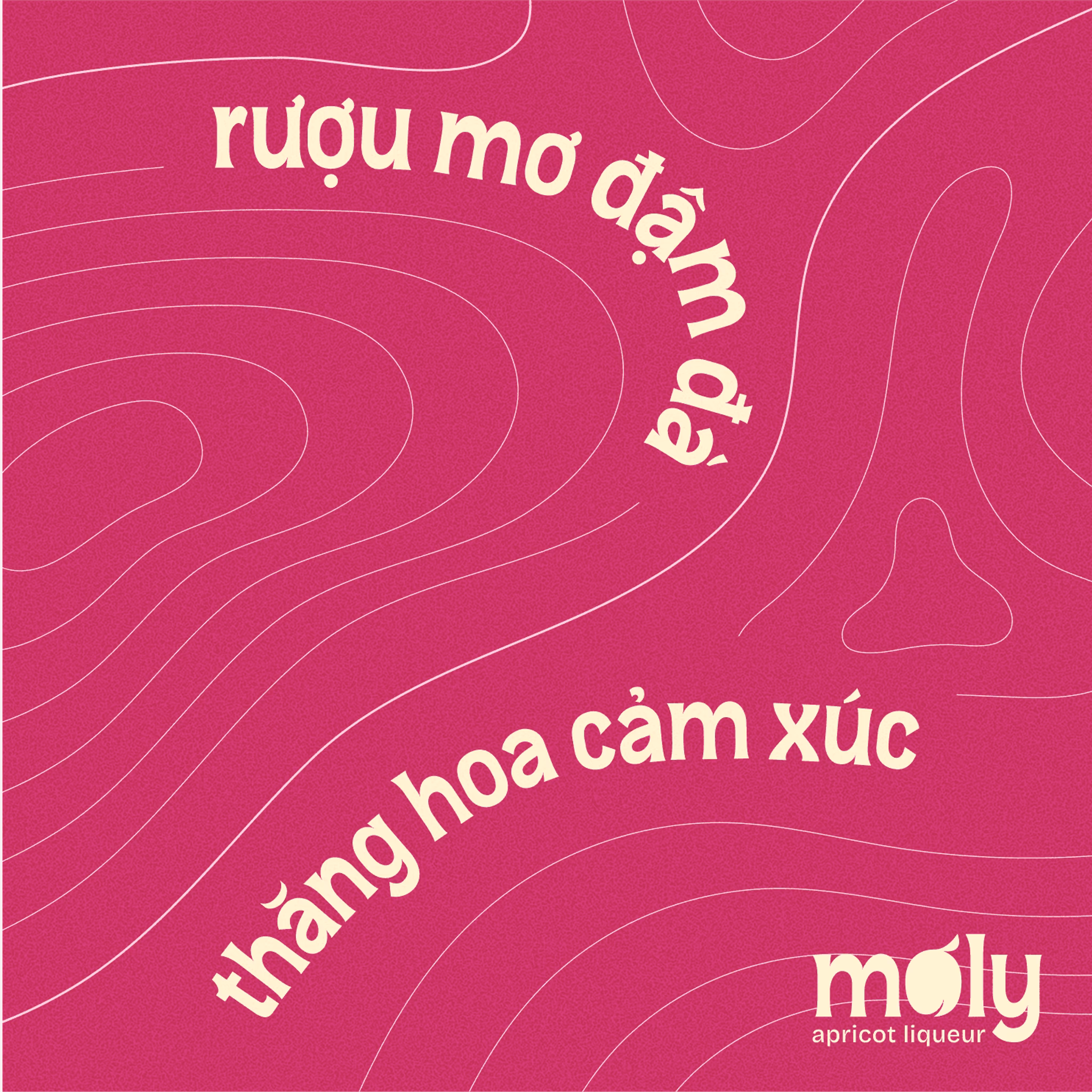 Moly_Social 4.png